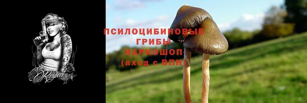 сатива Абинск